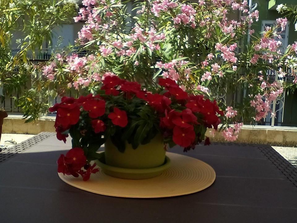 Il Terrazzo Di Oleandri Apartment Bagheria Ruang foto