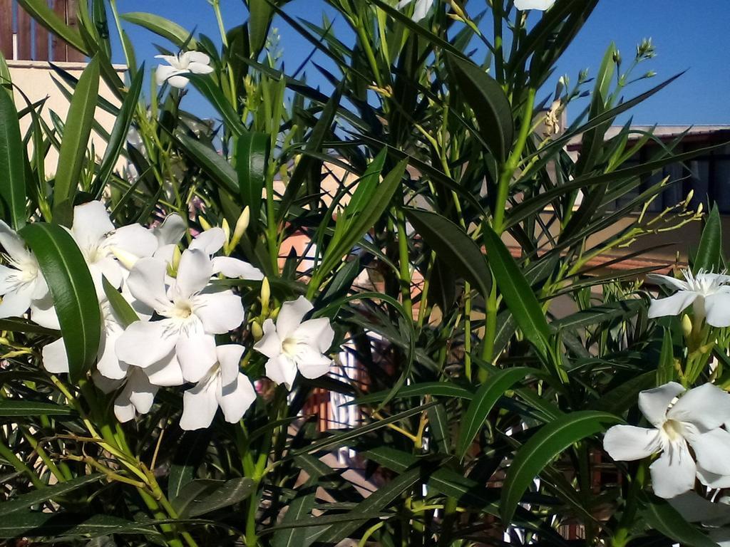 Il Terrazzo Di Oleandri Apartment Bagheria Ruang foto